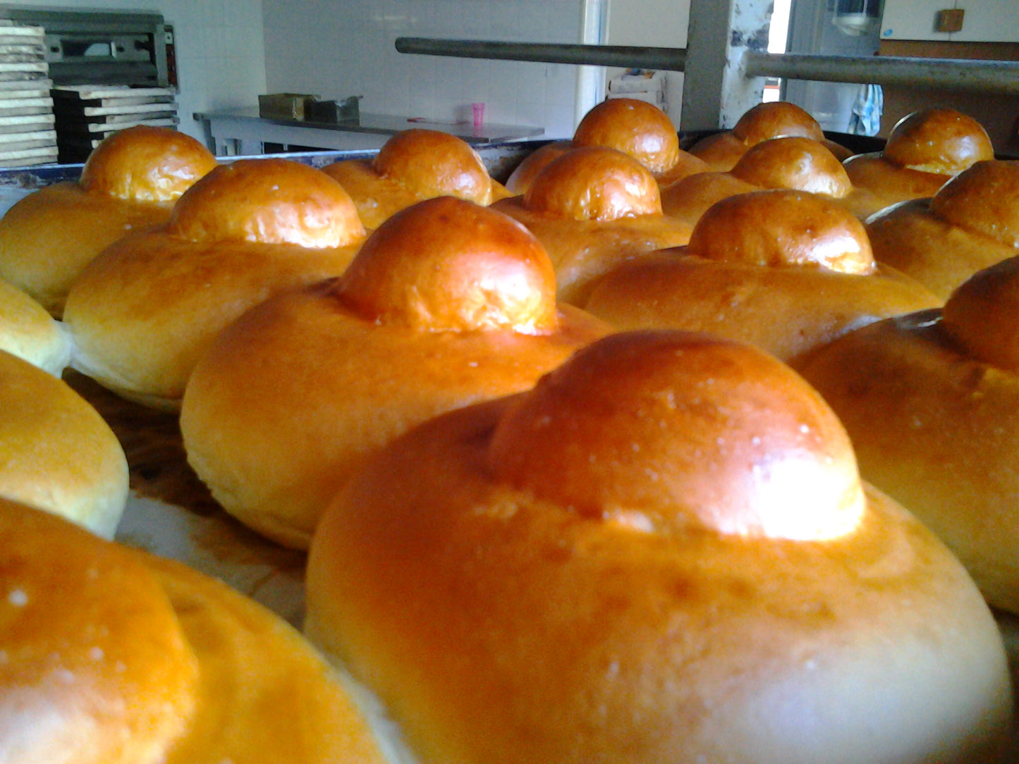 Brioche con il Tuppo Siciliana per Gelato