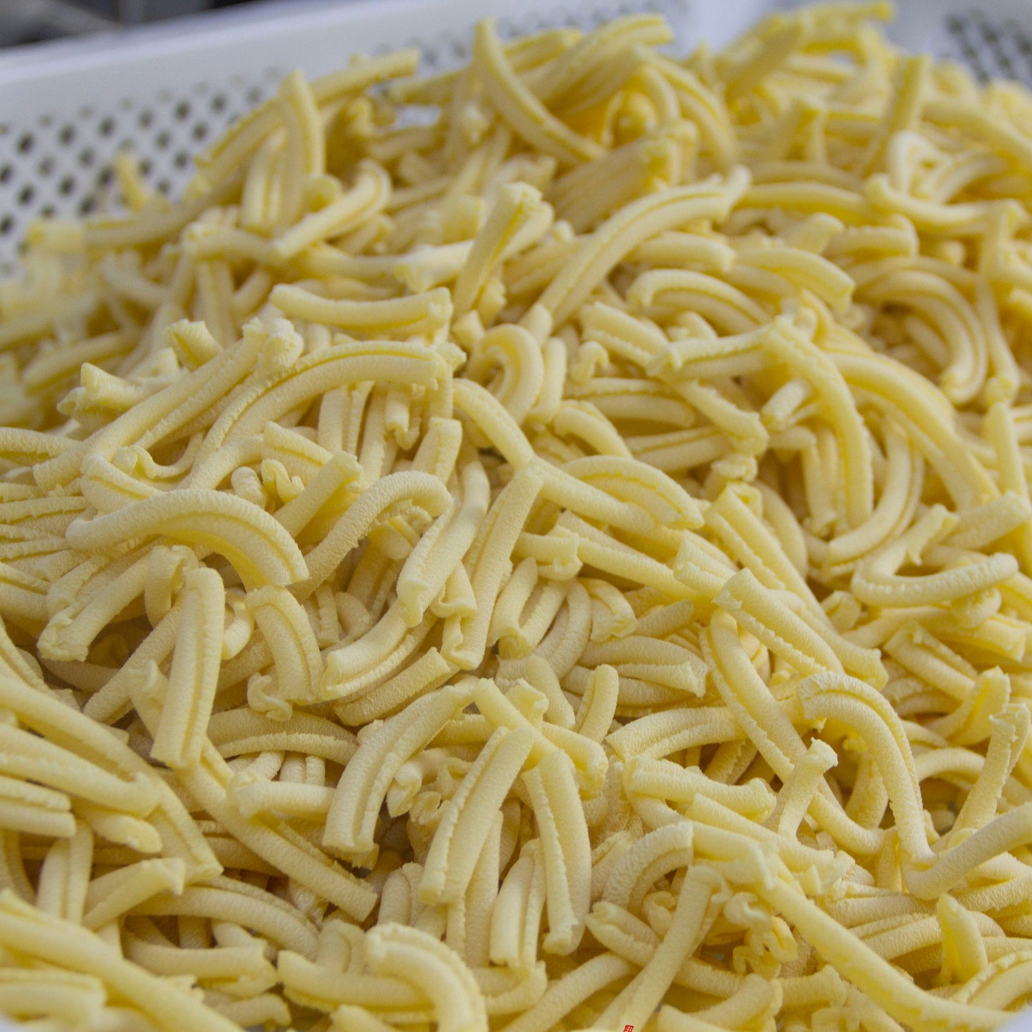 Caserecce - Frische Eiernudeln