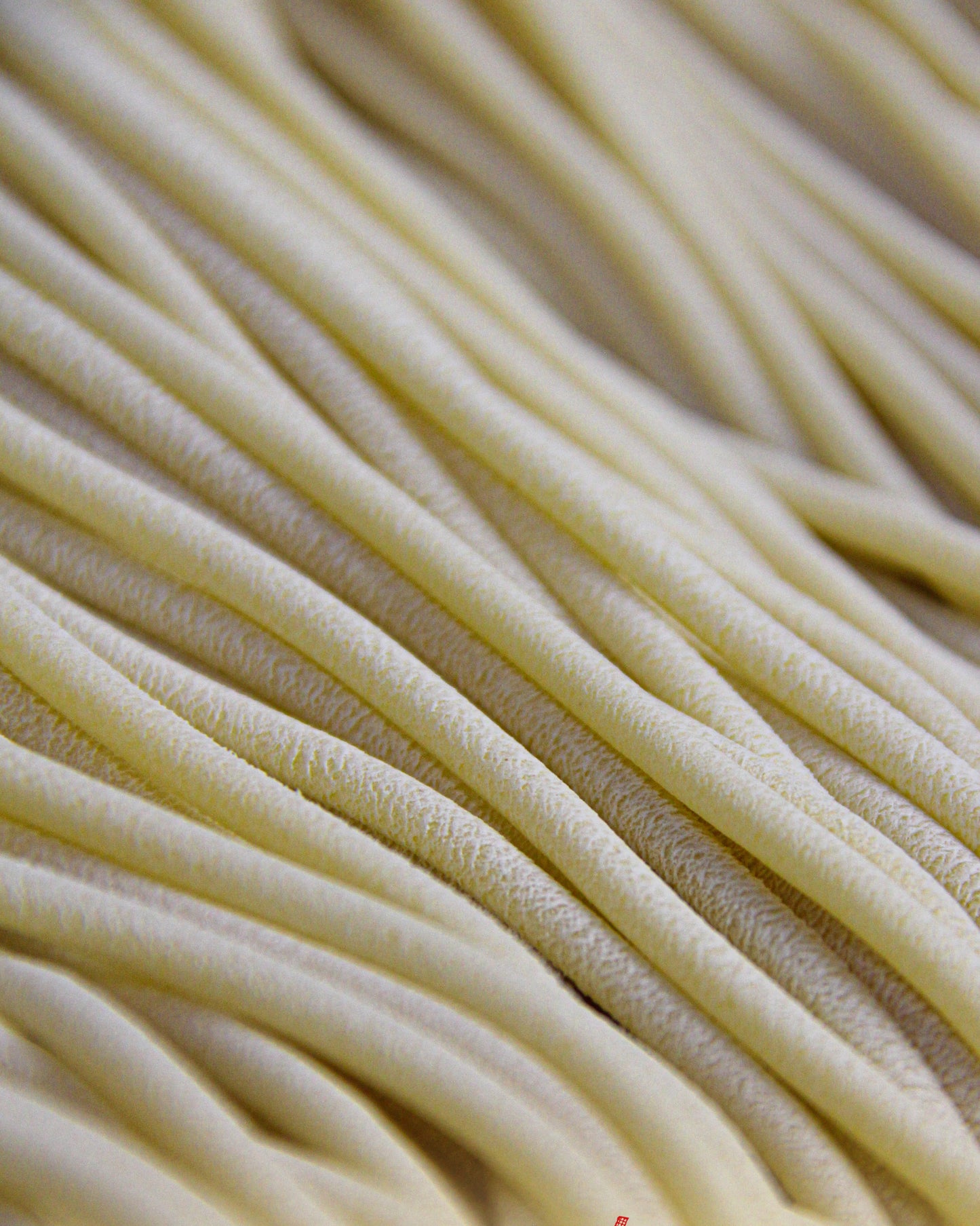Tondini - fresh egg pasta