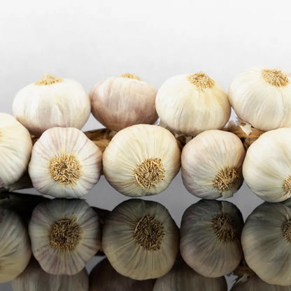 Aglio Rosso di Nubia - treccia da 11 bulbi