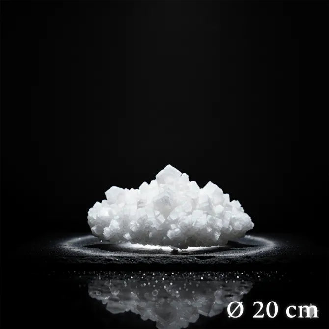 Cristalli di Sale Decorativi |Assorbi Umidità (Ø 20 cm) – Sale Marino Integrale di Trapani